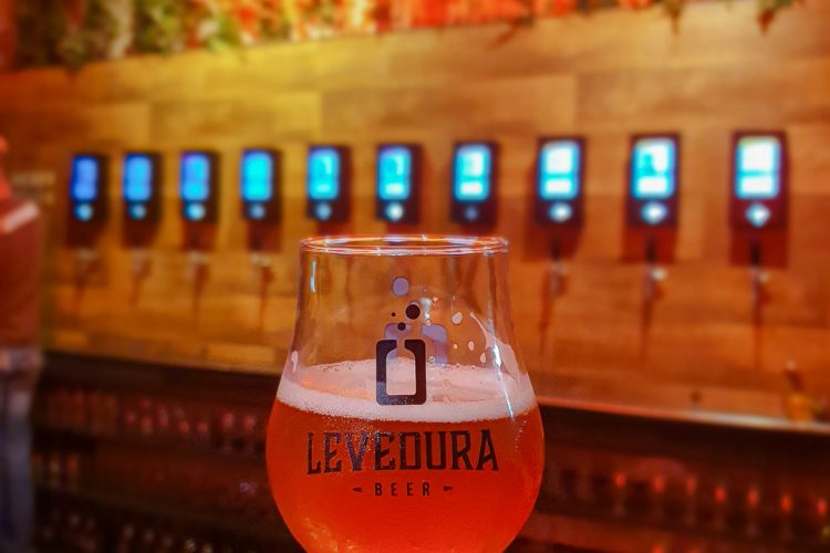 LEVEDURA BEER – Para beber cervejas artesanais de um jeito diferente!